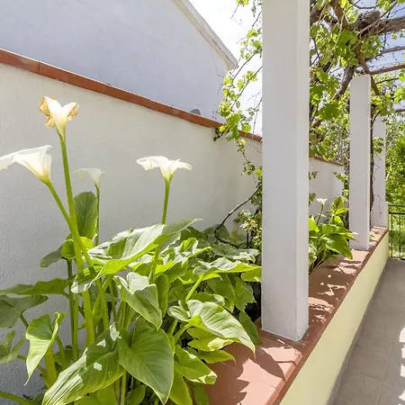 Daire S'ammentu Sassari