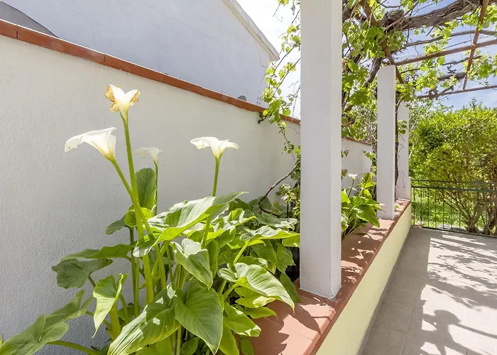 Apartman S'ammentu Sassari